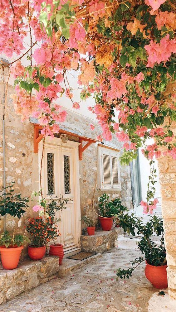 Secret Garden: Lush Vibrant Nature Embrace